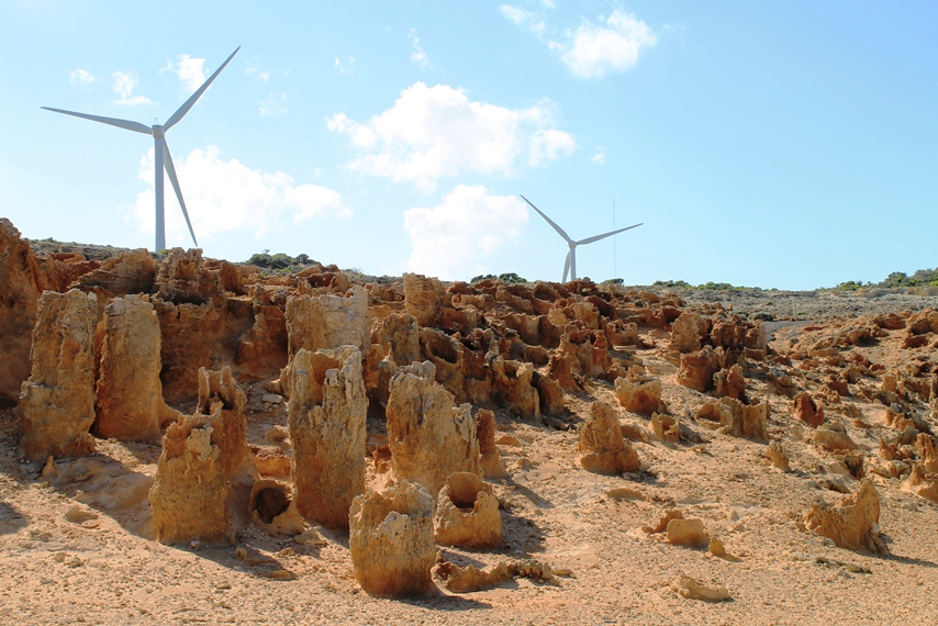 Petrified forest